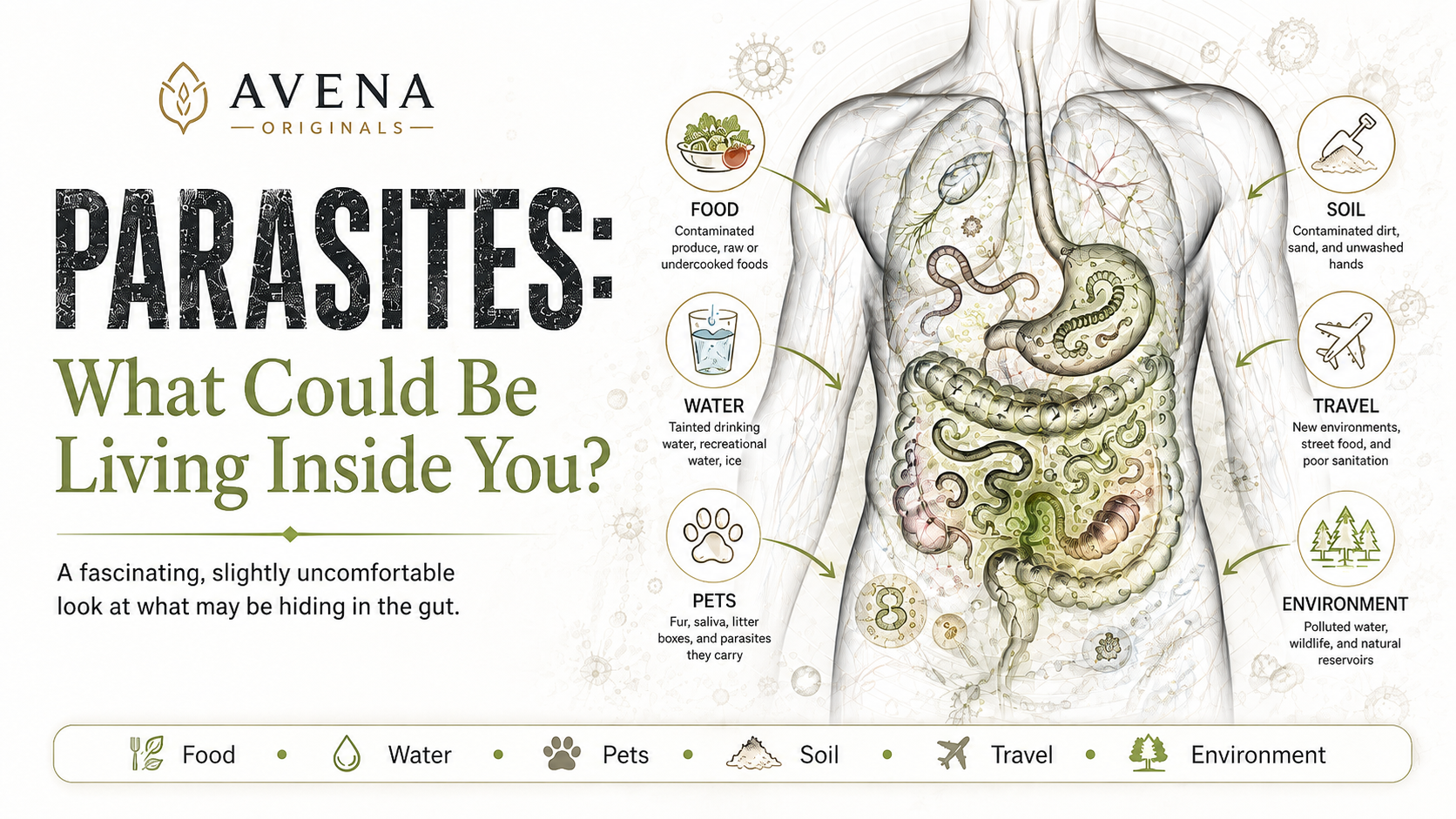 You Deworm Your Pets… But What About You?