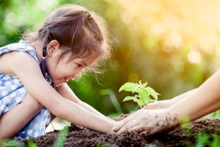THE HUMAN MICROBIOME