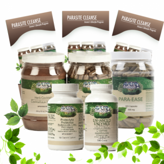 AVENA’S PARASITE CLEANSE PROGRAM