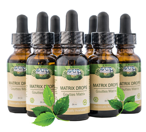 Matrix Imprint Drops (24) - Blank